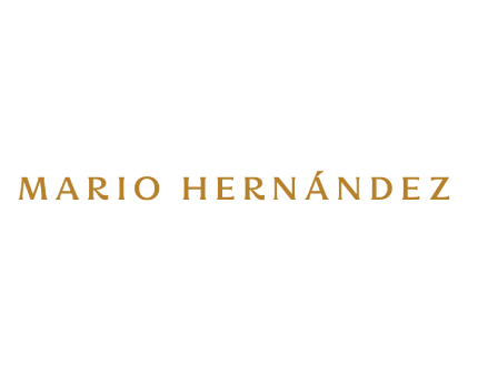 mario logo