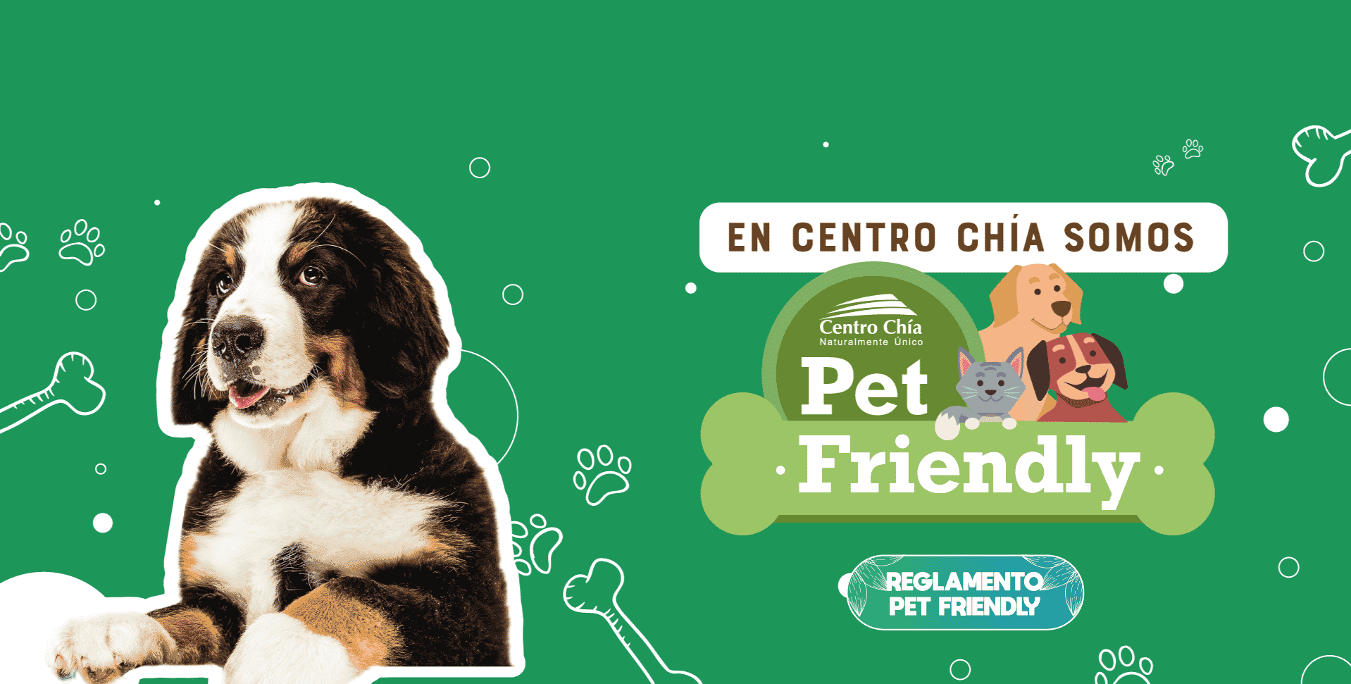 banner pet friendly chia banner pet friendly chia
