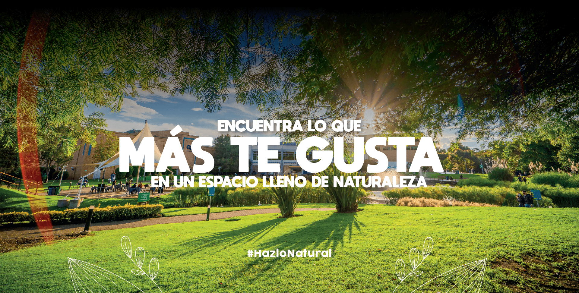 banner centro chia banner centro chia